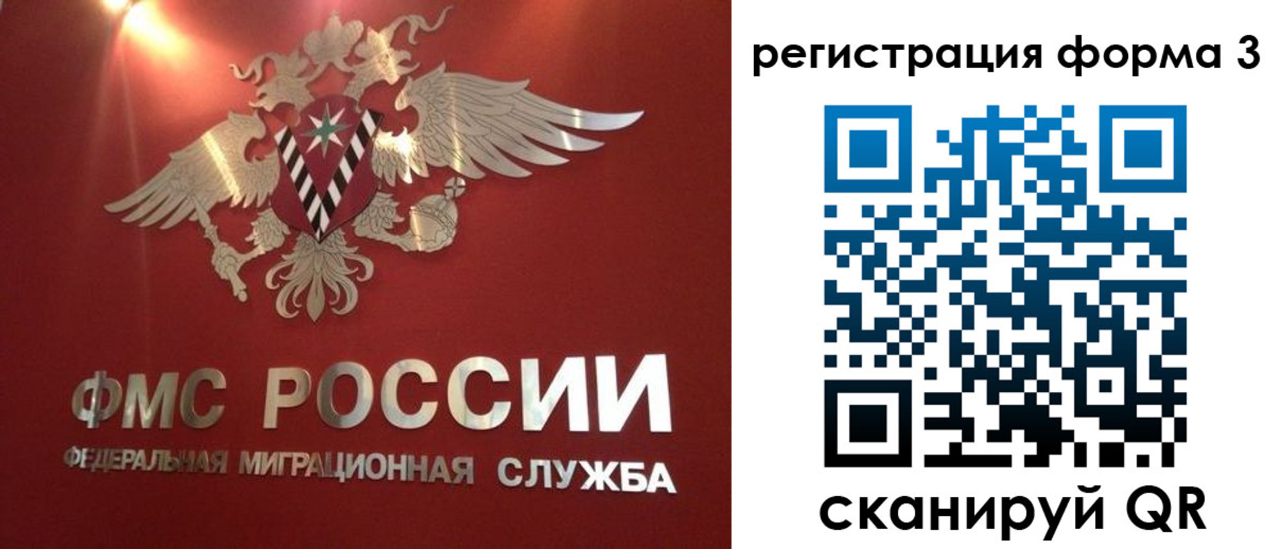прописка гарантия в Нелидово